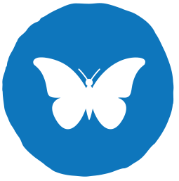 Transform Lives